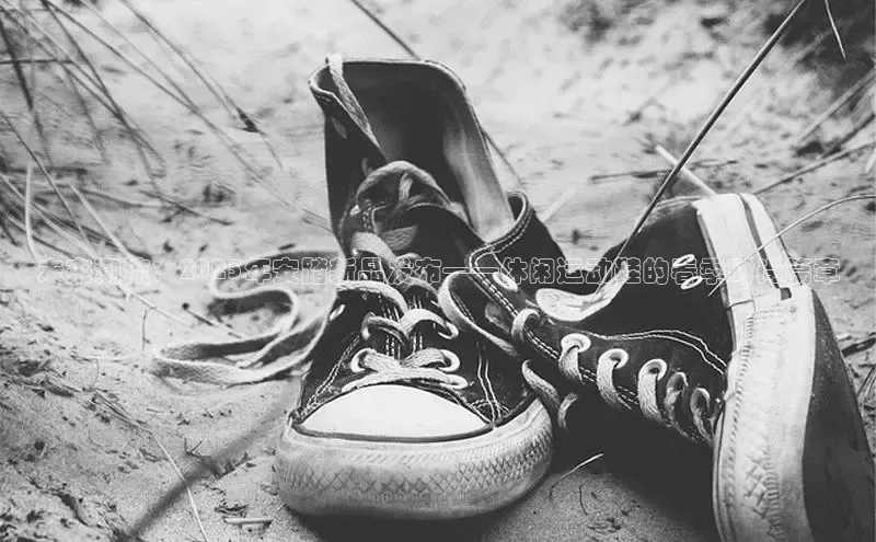 熊猫体育官网入口app